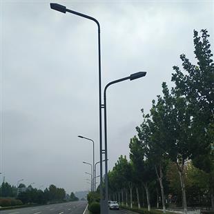 雙臂LED路燈 (2)