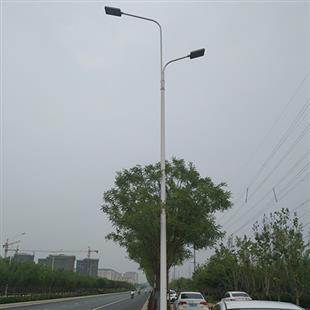雙臂LED路燈 (1)
