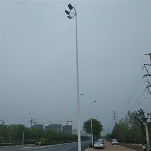 高桿燈系列 (3)